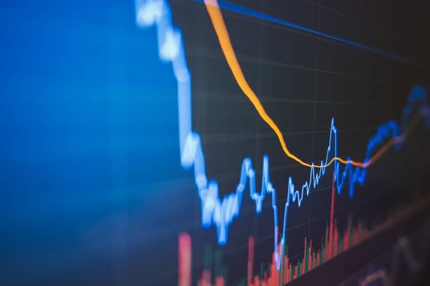 Bankruptcy Prediction